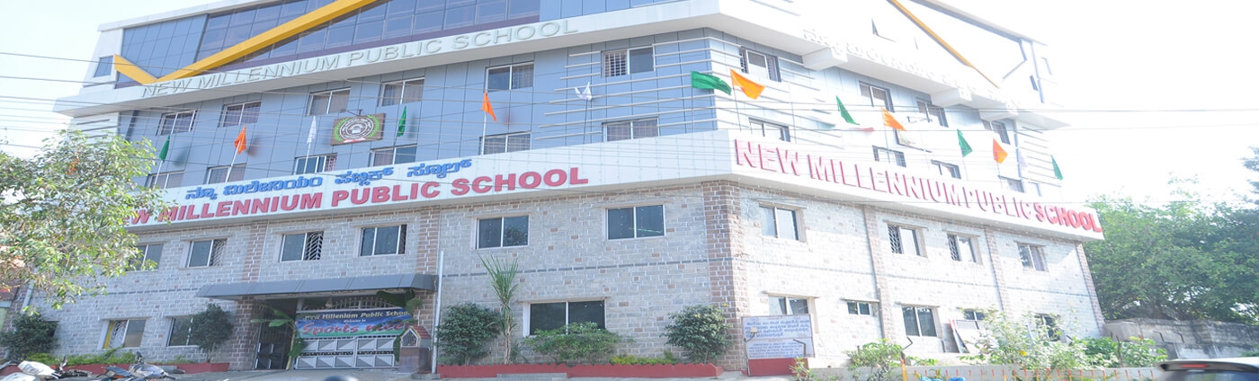 New Millennium Public School